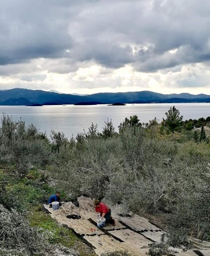 Apartmani Kremena Small Beach 200M Klek Kültér fotó